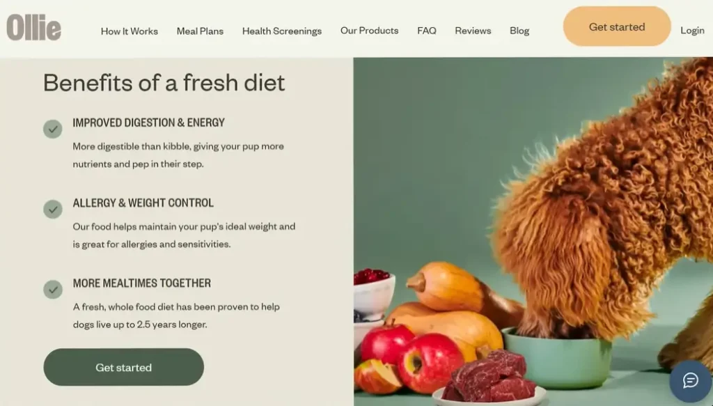Included benefit in landing page